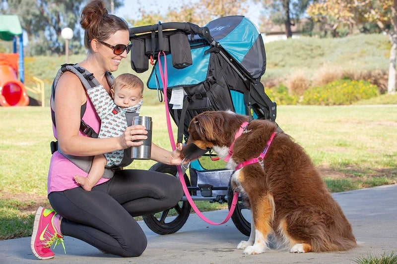 PetFusion Portable Dog Water Bottle & Dispenser (New-Large 22oz Dispenser) Insulated 2 Wall Stainless Steel- Optimal Cool Water Temp - Dog Travel Bottle - Image 2
